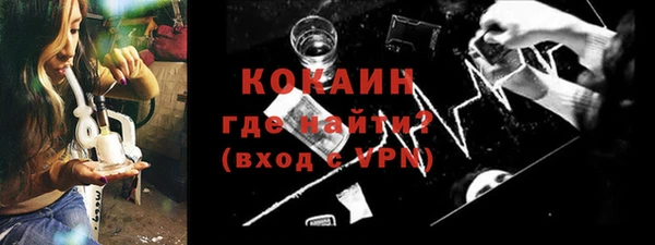 индика Горнозаводск