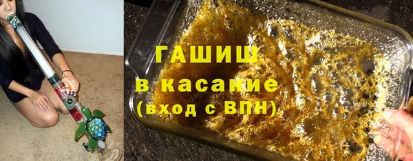 индика Горно-Алтайск