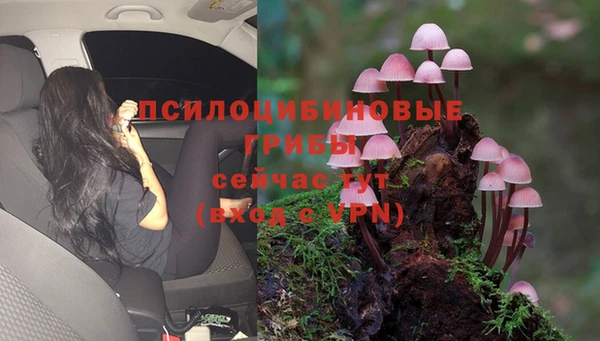 соль курить ск Пересвет