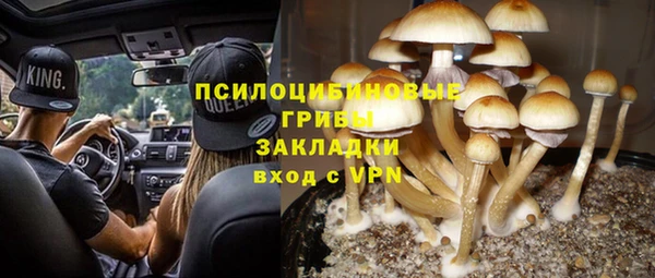 индика Горно-Алтайск