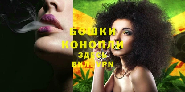 дурь Горняк