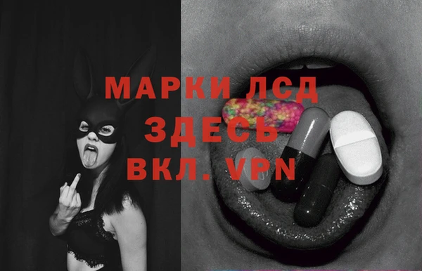 индика Горнозаводск