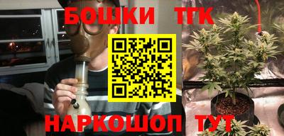 бошки Гусев