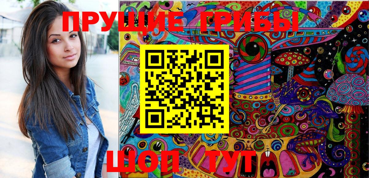 Псилоцибиновые грибы Psilocybe Верхний Уфалей