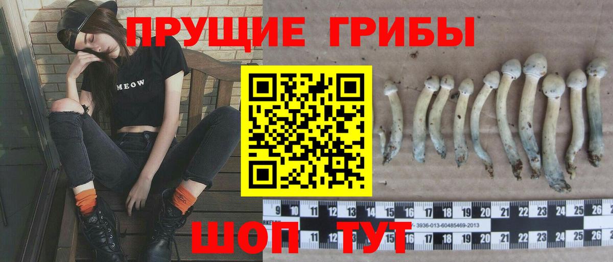 Псилоцибиновые грибы мицелий  Псилоцибиновые грибы Psilocybine cubensis  Вход с VPN  Верхний Уфалей 