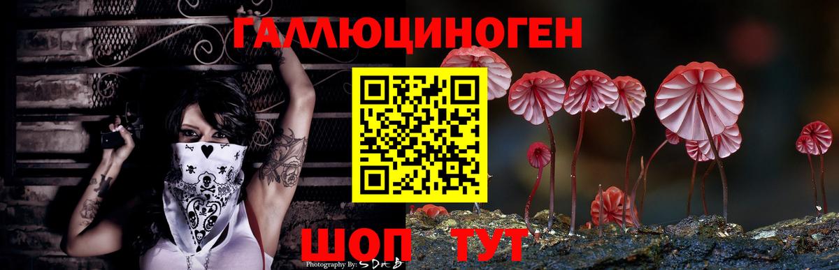 Псилоцибиновые грибы GOLDEN TEACHER Верхний Уфалей