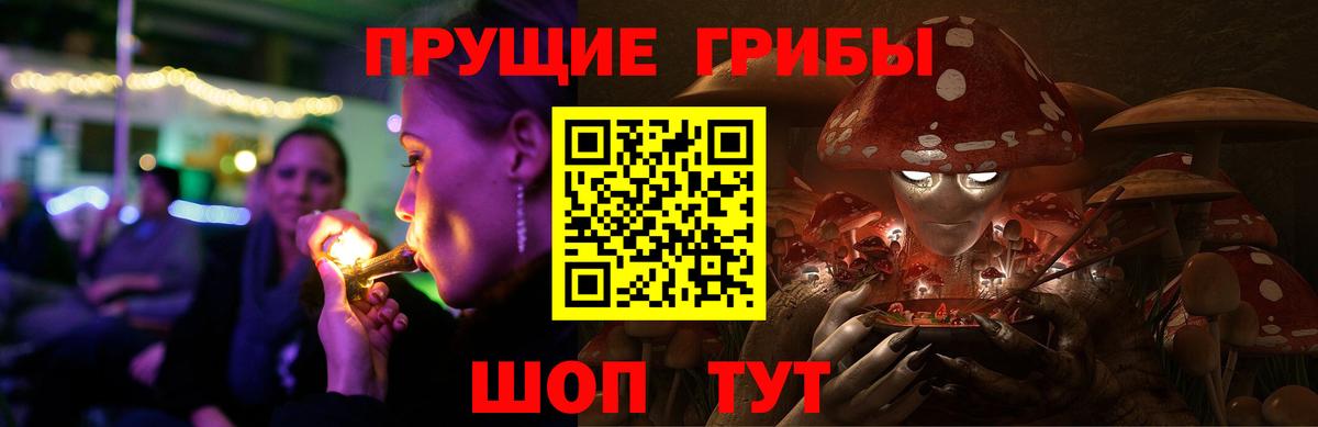 Псилоцибиновые грибы Psilocybe  Верхний Уфалей 